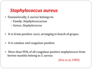 Staphylococcus aureus
 Taxonomically, S. aureus belongs to:
 Family: Staphylococcaceae
 Genus: Staphylococcus
 It is Gram-positive cocci, arranging in bunch of grapes.
 It is catalase and coagulase positive.
 More than 95% of all coagulase positive staphylococci from
bovine mastitis belong to S. aureus.
(Fox et al.,1989)
 