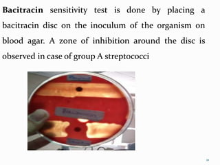 staph, anthrax& strept.pptx