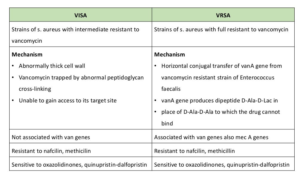 Staph epidermidis and saprophyticus