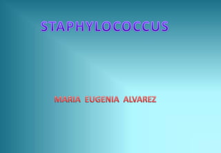 STAPHYLOCOCCUS MARIA  EUGENIA  ALVAREZ 