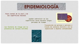 EPIDEMIOLOGÍA
Flora normal de la piel y de
las superficies mucosas
pueden sobrevivir en las
superficies secas durante largos
períodos de tiempo
Transmisión de persona a persona a
través de contacto directo o de la
exposición a objetos contaminados
Los factores de riesgo son la
presencia de cuerpos extraños
 