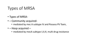 Mrsa Two Types staphylococcus streptococcus revision notes microbiology | PPTX