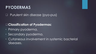 Purulent Pyoderma STAPHYLOCOCCAL AND STREPTOCOCCAL INFECTIONS 2.ppt