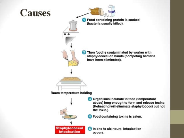 Food Poisoning Mechanism Food Poisoning Mechanism