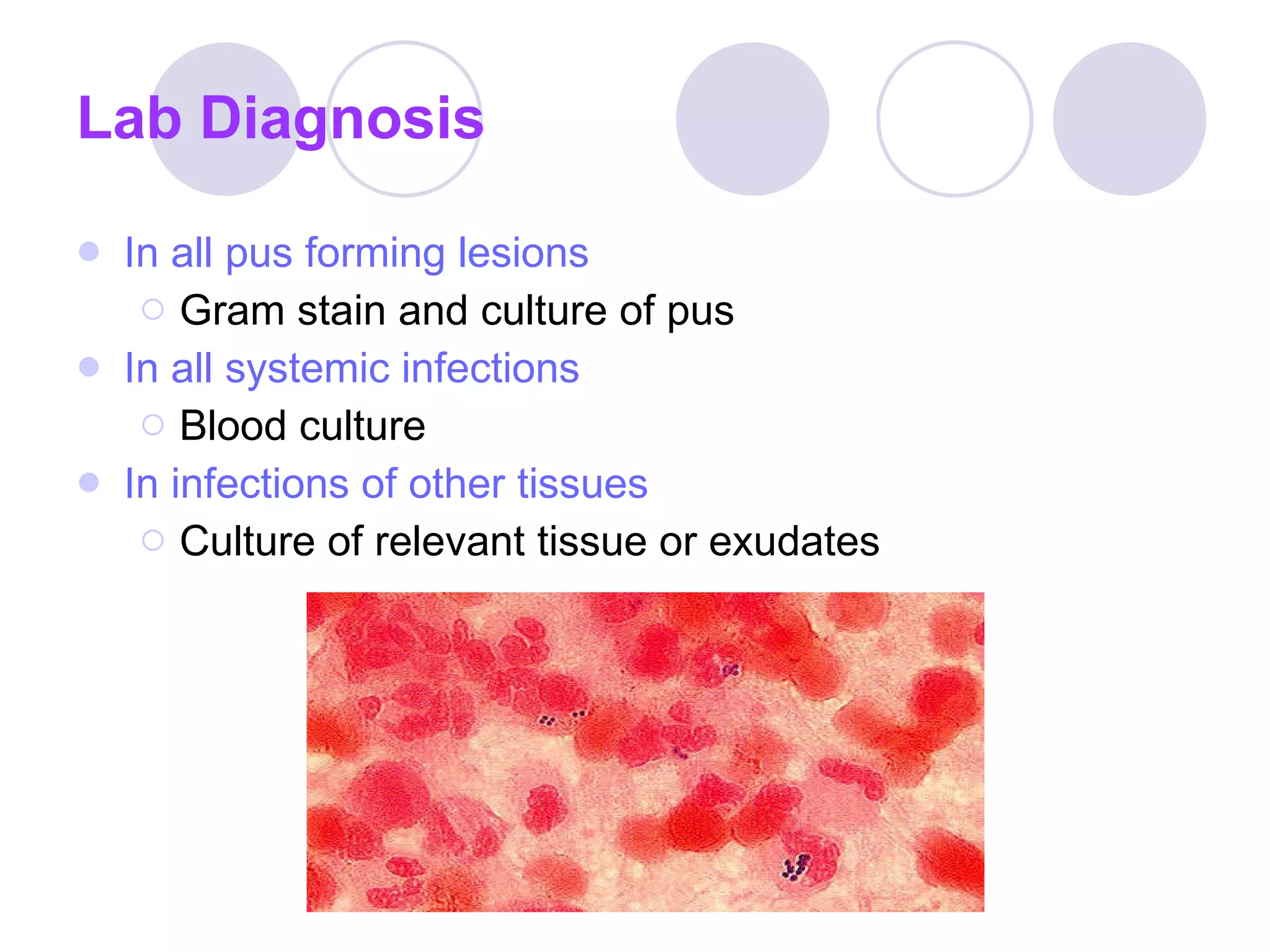 Lab Diagnosis In all pus forming lesions   Gram stain and culture of pus In all systemic infections Blood culture In infections of other tissues Culture of relevant tissue or exudates 