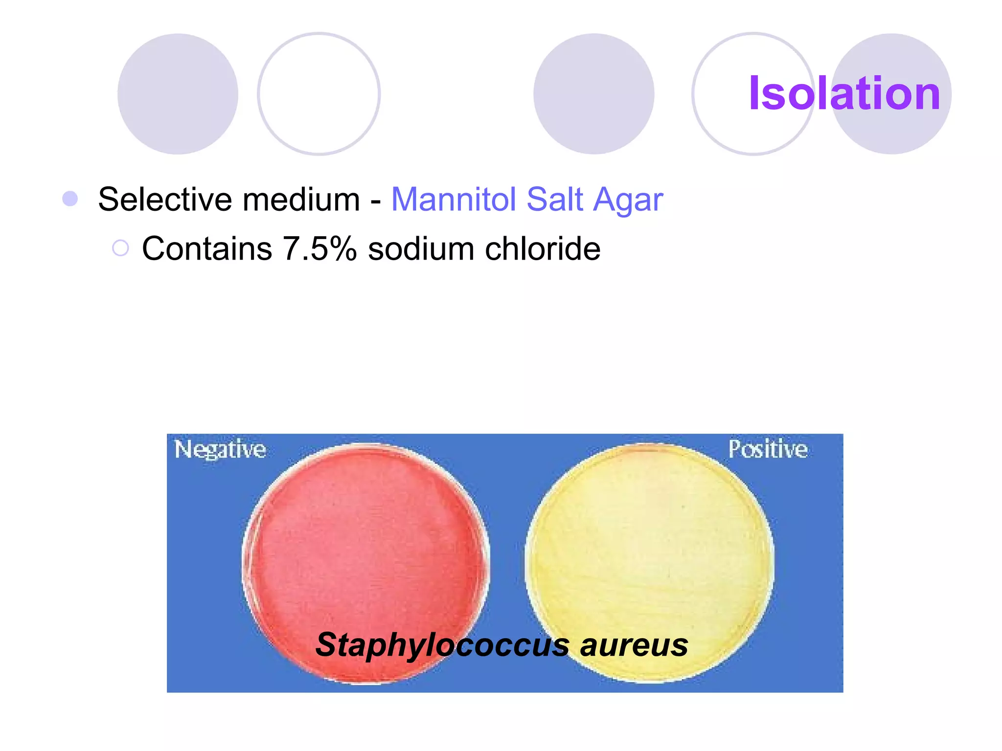 Isolation Selective medium -  Mannitol Salt Agar   Contains 7.5% sodium chloride Staphylococcus aureus 