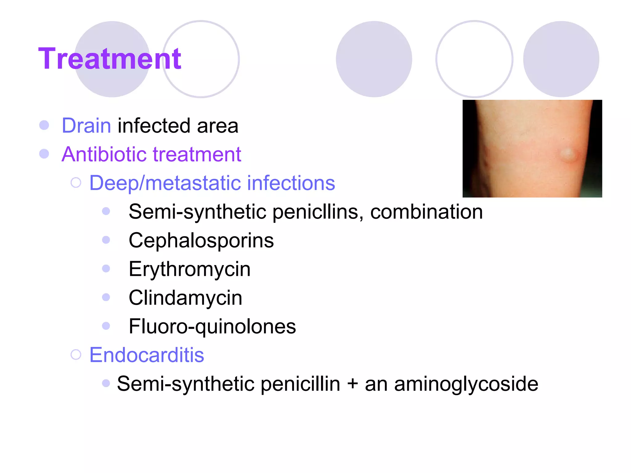 Treatment Drain  infected area Antibiotic treatment Deep/metastatic infections Semi-synthetic penicllins, combination Cephalosporins Erythromycin Clindamycin Fluoro-quinolones Endocarditis Semi-synthetic penicillin + an aminoglycoside 