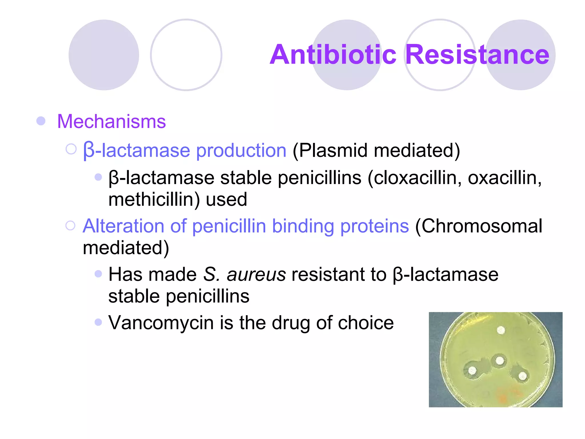 Antibiotic Resistance Mechanisms β - lactamase production  (Plasmid mediated) β - lactamase stable penicillins (cloxacillin, oxacillin, methicillin) used Alteration of penicillin binding proteins   (Chromosomal mediated) Has made  S. aureus  resistant to  β - lactamase stable penicillins Vancomycin is the drug of choice 