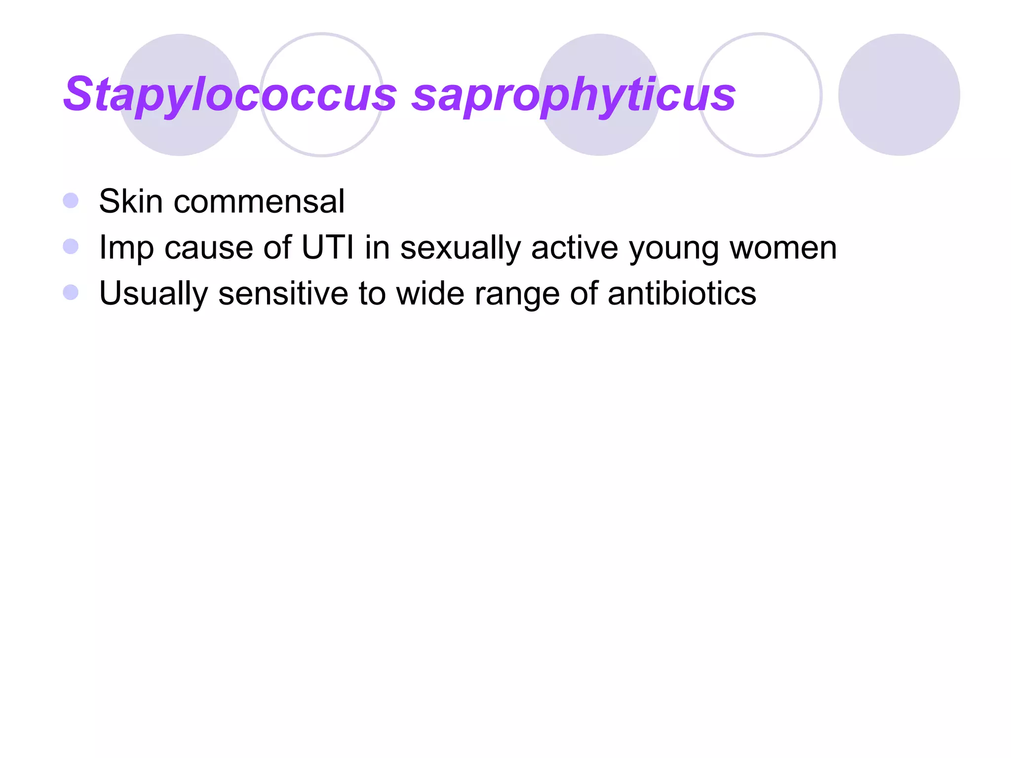 Stapylococcus saprophyticus Skin commensal Imp cause of UTI in sexually active young women Usually sensitive to wide range of antibiotics 