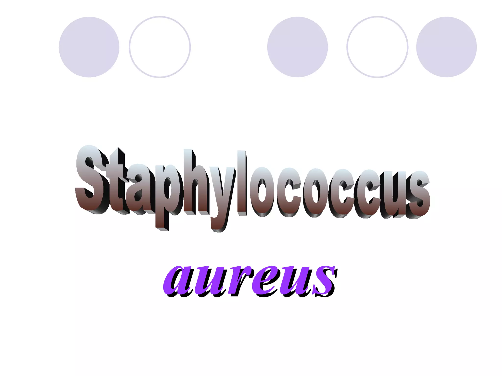 Staphylococcus aureus 