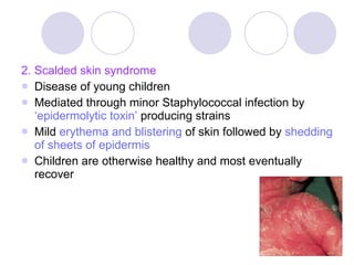 2. Scalded skin syndrome Disease of young children Mediated through minor Staphylococcal infection by  ‘epidermolytic toxin’   producing strains Mild  erythema and blistering  of skin followed by  shedding of sheets of epidermis Children are otherwise healthy and most eventually recover 