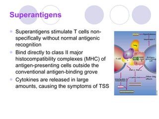 Superantigens Superantigens stimulate T cells non-specifically without normal antigenic recognition Bind directly to class II major histocompatibility complexes (MHC) of antigen-presenting cells outside the conventional antigen-binding grove Cytokines are released in large amounts, causing the symptoms of TSS 