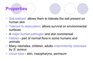Properties Salt-tolerant:  allows them to tolerate the salt present on human skin Tolerant to desiccation:  allows survival on environmental surfaces A  major human pathogen  and skin commensal Habitat  - part of normal flora in some humans and animals Many neonates, children, adults - intermittently colonised   by  S. aureus Usual sites  - skin, nasopharynx, perineum 