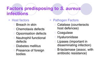Factors predisposing to  S. aureus  infections Host factors Breach in skin Chemotaxis defects Opsonisation defects Neutrophil functional defects Diabetes mellitus Presence of foreign bodies Pathogen Factors Catalase (counteracts host defences) Coagulase Hyaluronidase Lipases (important in disseminating infection) B-lactamase (assoc. with antibiotic resistance) 