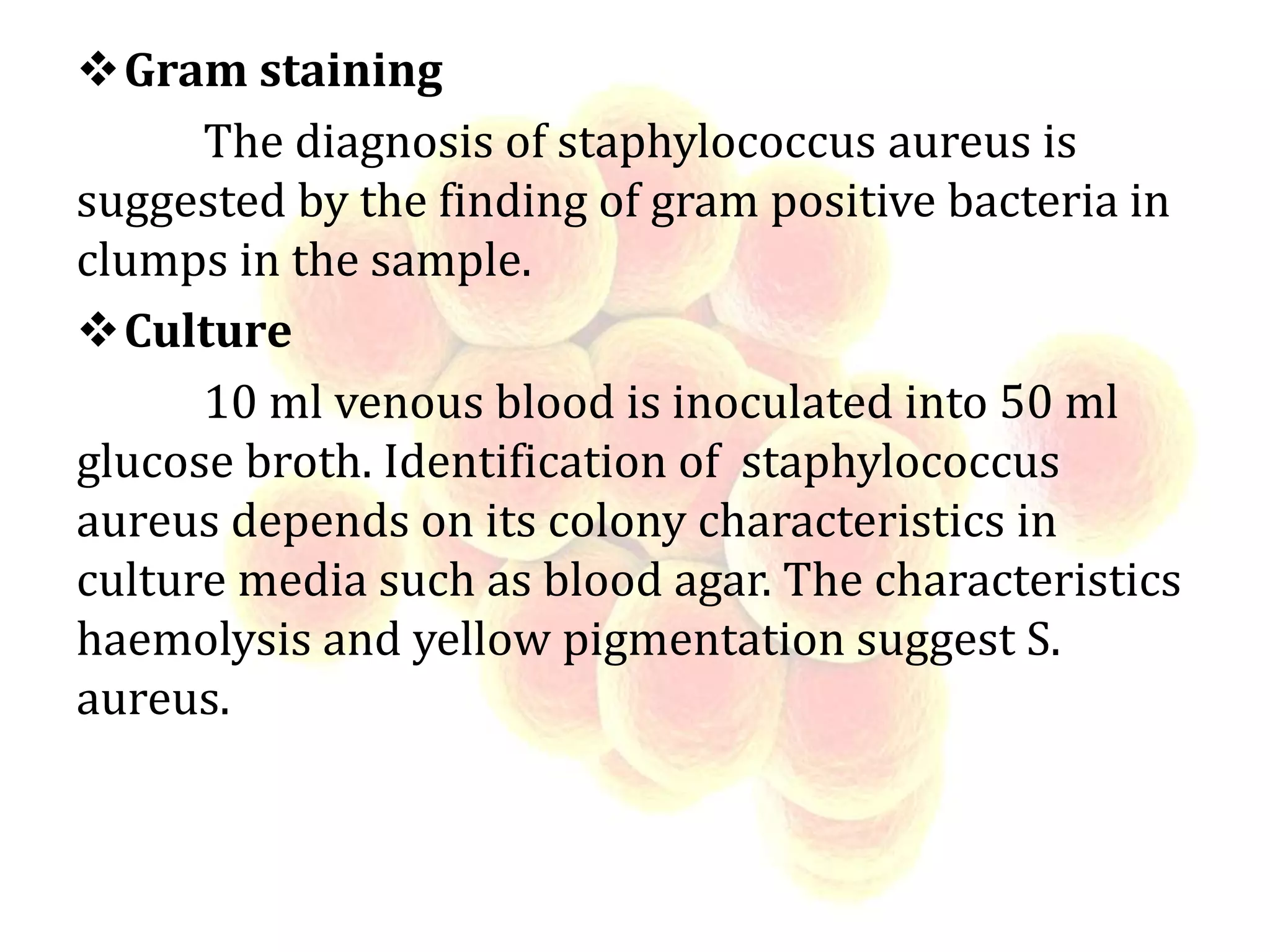 Gram staining
The diagnosis of staphylococcus aureus is
suggested by the finding of gram positive bacteria in
clumps in the sample.
Culture
10 ml venous blood is inoculated into 50 ml
glucose broth. Identification of staphylococcus
aureus depends on its colony characteristics in
culture media such as blood agar. The characteristics
haemolysis and yellow pigmentation suggest S.
aureus.
 