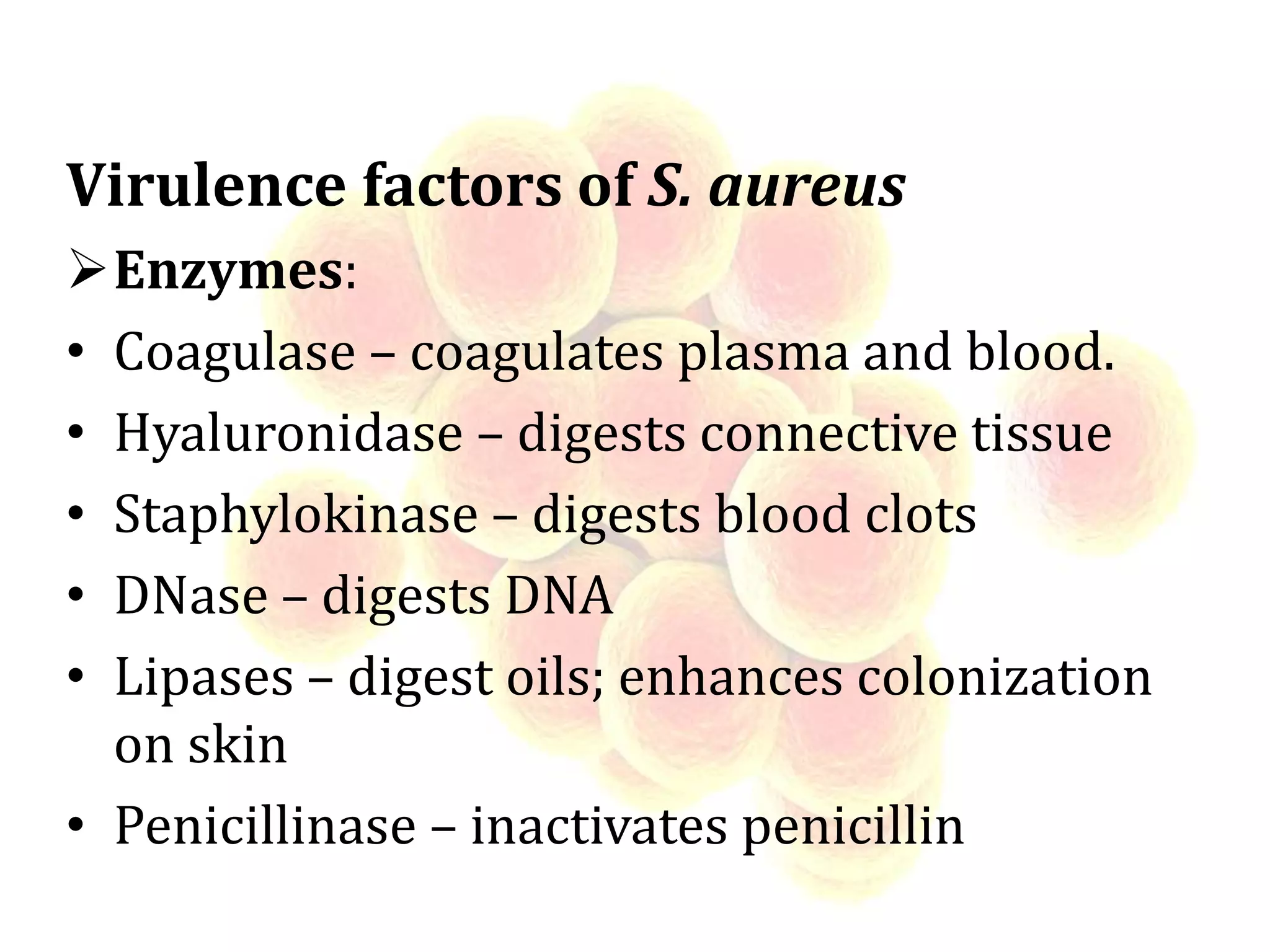 Virulence factors of S. aureus
Enzymes:
• Coagulase – coagulates plasma and blood.
• Hyaluronidase – digests connective tissue
• Staphylokinase – digests blood clots
• DNase – digests DNA
• Lipases – digest oils; enhances colonization
on skin
• Penicillinase – inactivates penicillin
 
