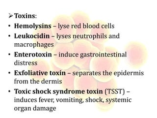 Toxins:
• Hemolysins – lyse red blood cells
• Leukocidin – lyses neutrophils and
macrophages
• Enterotoxin – induce gastrointestinal
distress
• Exfoliative toxin – separates the epidermis
from the dermis
• Toxic shock syndrome toxin (TSST) –
induces fever, vomiting, shock, systemic
organ damage
 