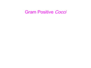 Gram Positive  Cocci 