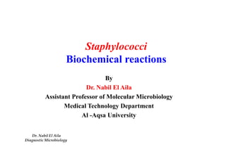 Staphylococci 
Biochemical reactions 
By 
Dr. Nabil El Aila 
Assistant Professor of Molecular Microbiology 
Medical Technology Department 
Al -Aqsa University 
Dr. Nabil El Aila 
DiagnosticMicrobiology 
 