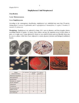 1
Chapter No # 4
Staphylococci And Streptococci
Classification.
Family Micrococcaceae,
Genus Staphylococcus.
According to the contemporary classification, staphylococci are subdivided into more then 30 species.
Among them: S. aureus, S. epidermidis, and S. saprophyticus,S. haemolyticus, S. capitis, S. hominis, S.
warneri, S. xylosus etc.
Morphology. Staphylococci are spherical in shape, 0.8-1 mcm in diameter, and form irregular clusters
resembling bunches of grapes. In smears from cultures and pus the organisms occur in short chains, in
pairs, or as single cocci. Large spherical (L-forms) or very small (G-forms) and even filterable forms may
be seen in cultures which have been subjected to various physical, chemical, and biological (antibiotics)
factors.
 