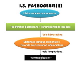 I.3. PATHOGENIE(3)




                         Voie hématogène




                         voie lymphatique
    staphylococcie pleuropulmonaire , juin
                     2011
 