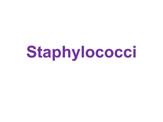 Staphylococci

 
