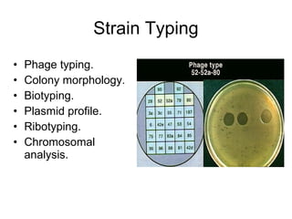 Strain Typing
•
•
•
•
•
•

Phage typing.
Colony morphology.
Biotyping.
Plasmid profile.
Ribotyping.
Chromosomal
analysis.

 