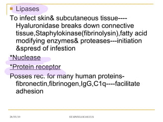 Lipases To infect skin& subcutaneous tissue----Hyaluronidase breaks down connective tissue,Staphylokinase(fibrinolysin),fatty acid modifying enzymes& proteases---initiation &spresd of infestion *Nuclease *Protein receptor Posses rec. for many human proteins-fibronectin,fibrinogen,IgG,C1q----facilitate adhesion 
