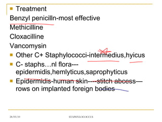 Treatment Benzyl penicilln-most effective Methicilline Cloxacilline Vancomysin Other C+ Staphylococci-intermedius,hyicus C- staphs…nl flora---epidermidis,hemlyticus,saprophyticus Epidermidis-human skin----stitch abcess—rows on implanted foreign bodies 