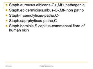 Staph.aureus/s.albicans-C+,Mf+,pathogenic Staph.epidermidis/s.albus-C-,Mf-,non patho Staph-haemolyticus-patho,C- Staph.saprphyticus-patho,C- Staph.hominis,S.capitus-commensal flora of human skin 