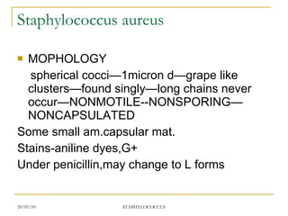 Staphylococcus aureus MOPHOLOGY spherical cocci—1micron d—grape like clusters—found singly—long chains never occur—NONMOTILE--NONSPORING—NONCAPSULATED Some small am.capsular mat. Stains-aniline dyes,G+ Under penicillin,may change to L forms 