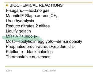 Staphylococcus | PPT