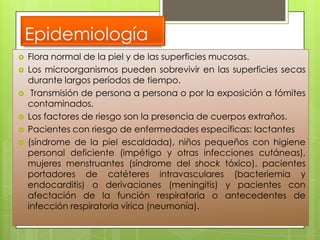 Epidemiología
   Flora normal de la piel y de las superficies mucosas.
   Los microorganismos pueden sobrevivir en las superficies secas
    durante largos períodos de tiempo.
    Transmisión de persona a persona o por la exposición a fómites
    contaminados.
   Los factores de riesgo son la presencia de cuerpos extraños.
   Pacientes con riesgo de enfermedades específicas: lactantes
   (síndrome de la piel escaldada), niños pequeños con higiene
    personal deficiente (impétigo y otras infecciones cutáneas),
    mujeres menstruantes (síndrome del shock tóxico), pacientes
    portadores de catéteres intravasculares (bacteriemia y
    endocarditis) o derivaciones (meningitis) y pacientes con
    afectación de la función respiratoria o antecedentes de
    infección respiratoria vírica (neumonía).
 