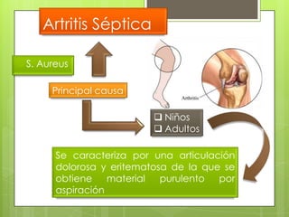 Artritis Séptica

 S.   Aureus

          Principal causa

                              Niños
                              Adultos

          Se caracteriza por una articulación
          dolorosa y eritematosa de la que se
          obtiene    material  purulento  por
          aspiración
 