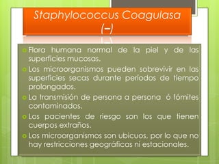 Staphylococcus Coagulasa
              (–)
 Flora  humana normal de la piel y de las
  superficies mucosas.
 Los microorganismos pueden sobrevivir en las
  superficies secas durante períodos de tiempo
  prolongados.
 La transmisión de persona a persona ó fómites
  contaminados.
 Los pacientes de riesgo son los que tienen
  cuerpos extraños.
 Los microorganismos son ubicuos, por lo que no
  hay restricciones geográficas ni estacionales.
 
