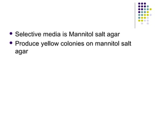  Selectivemedia is Mannitol salt agar
 Produce yellow colonies on mannitol salt
  agar
 