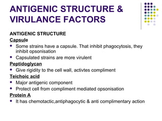 ANTIGENIC STRUCTURE &
VIRULANCE FACTORS
ANTIGENIC STRUCTURE
Capsule
 Some strains have a capsule. That inhibit phagocytosis, they
  inhibit opsonisation
 Capsulated strains are more virulent

Peptidoglycan
 Give rigidity to the cell wall, activtes compliment

Teichoic acid
 Major antigenic component
 Protect cell from compliment mediated opsonisation

Protein A
 It has chemotactic,antiphagocytic & anti complimentary action
 
