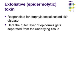 Exfoliative (epidermolytic)
toxin
 Responsible   for staphylococcal scaled skin
  disease
 Here the outer layer of epidermis gets
  separated from the underlying tissue
 