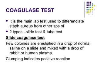 COAGULASE TEST
 Itis the main lab test used to differenciate
  staph aureus from other sps of
 2 types –slide test & tube test

Slide coagulase test
Few colonies are emulsified in a drop of normal
  saline on a slide and mixed with a drop of
  rabbit or human plasma.
Clumping indicates positive reaction
 