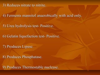 3) Reduces nitrate to nitrite.3) Reduces nitrate to nitrite.
4) Ferments mannitol anaerobically with acid only.4) Ferments mannitol anaerobically with acid only.
5) Urea hydrolysis test- Positive.5) Urea hydrolysis test- Positive.
6) Gelatin liquefaction test- Positive.6) Gelatin liquefaction test- Positive.
7) Produces Lipase.7) Produces Lipase.
8) Produces Phosphatase.8) Produces Phosphatase.
9) Produces Thermostable nuclease.9) Produces Thermostable nuclease.
 
