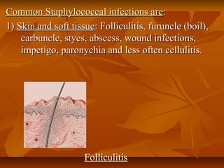 Common Staphylococcal infections areCommon Staphylococcal infections are::
1)1) Skin and soft tissueSkin and soft tissue: Folliculitis, furuncle (boil),: Folliculitis, furuncle (boil),
carbuncle, styes, abscess, wound infections,carbuncle, styes, abscess, wound infections,
impetigo, paronychia and less often cellulitis.impetigo, paronychia and less often cellulitis.
Folliculitis
 