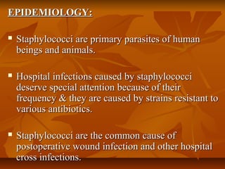 EPIDEMIOLOGY:EPIDEMIOLOGY:
 Staphylococci are primary parasites of humanStaphylococci are primary parasites of human
beings and animals.beings and animals.
 Hospital infections caused by staphylococciHospital infections caused by staphylococci
deserve special attention because of theirdeserve special attention because of their
frequency & they are caused by strains resistant tofrequency & they are caused by strains resistant to
various antibiotics.various antibiotics.
 Staphylococci are the common cause ofStaphylococci are the common cause of
postoperative wound infection and other hospitalpostoperative wound infection and other hospital
cross infections.cross infections.
 