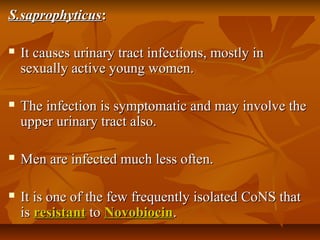 S.saprophyticusS.saprophyticus::
 It causes urinary tract infections, mostly inIt causes urinary tract infections, mostly in
sexually active young women.sexually active young women.
 The infection is symptomatic and may involve theThe infection is symptomatic and may involve the
upper urinary tract also.upper urinary tract also.
 Men are infected much less often.Men are infected much less often.
 It is one of the few frequently isolated CoNS thatIt is one of the few frequently isolated CoNS that
isis resistantresistant toto NovobiocinNovobiocin..
 