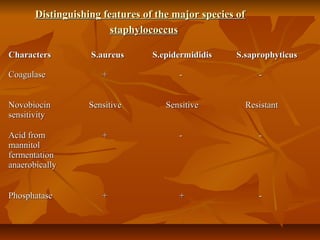 Distinguishing features of the major species ofDistinguishing features of the major species of
staphylococcusstaphylococcus
CharactersCharacters S.aureusS.aureus S.epidermididisS.epidermididis S.saprophyticusS.saprophyticus
CoagulaseCoagulase ++ -- --
NovobiocinNovobiocin
sensitivitysensitivity
SensitiveSensitive SensitiveSensitive ResistantResistant
Acid fromAcid from
mannitolmannitol
fermentationfermentation
anaerobicallyanaerobically
++ -- --
PhosphatasePhosphatase ++ ++ --
 