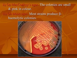 ii) On MacConkey’s agar-ii) On MacConkey’s agar- The colonies are smallThe colonies are small
& pink in colour.& pink in colour.
iii) On blood agar-iii) On blood agar- Most strains produceMost strains produce ββ--
haemolytic colonies.haemolytic colonies.
 