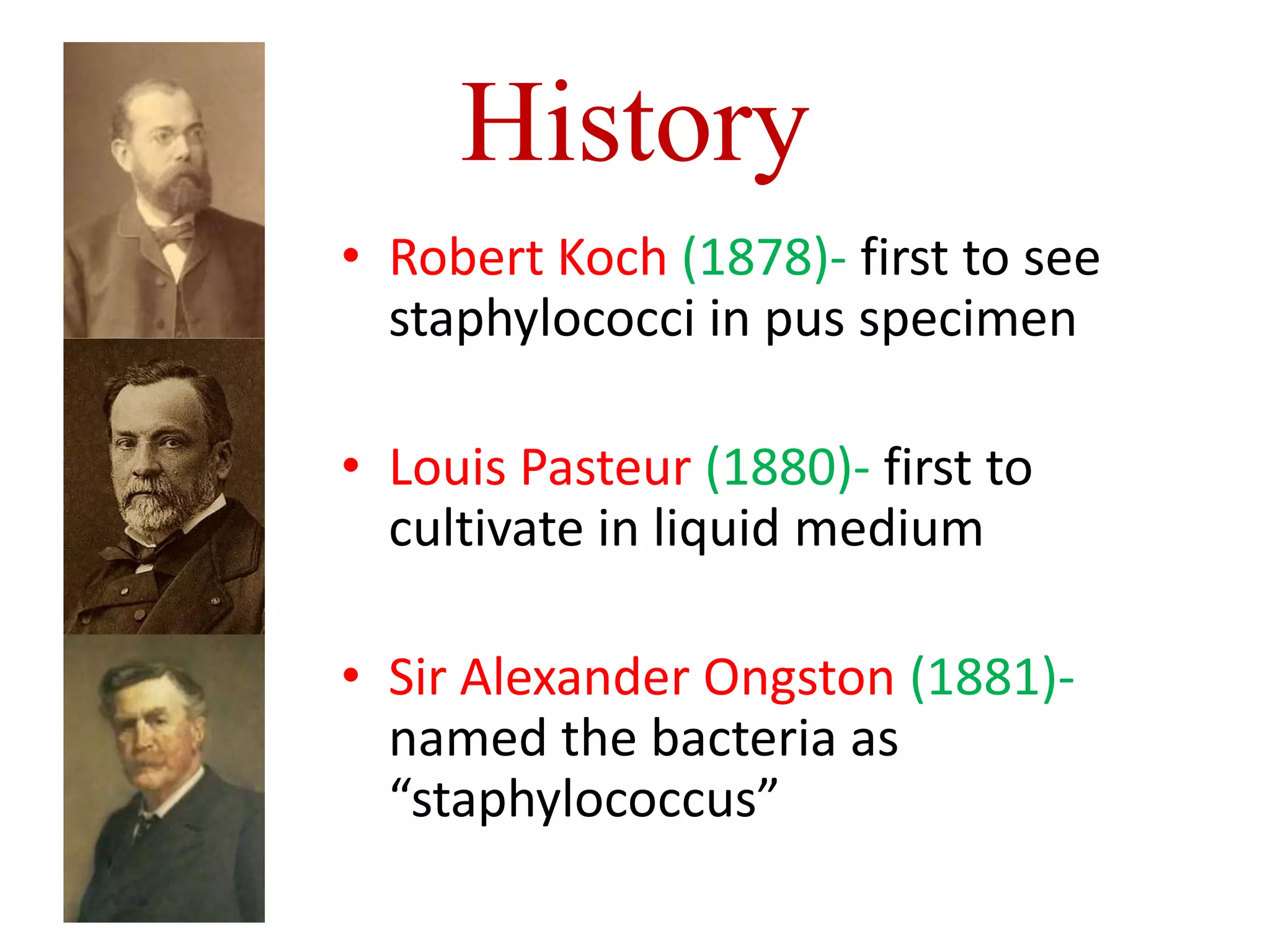History
• Robert Koch (1878)- first to see
staphylococci in pus specimen
• Louis Pasteur (1880)- first to
cultivate in liquid medium
• Sir Alexander Ongston (1881)-
named the bacteria as
“staphylococcus”
 