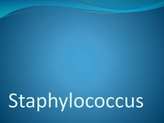 Staphylococcus

 