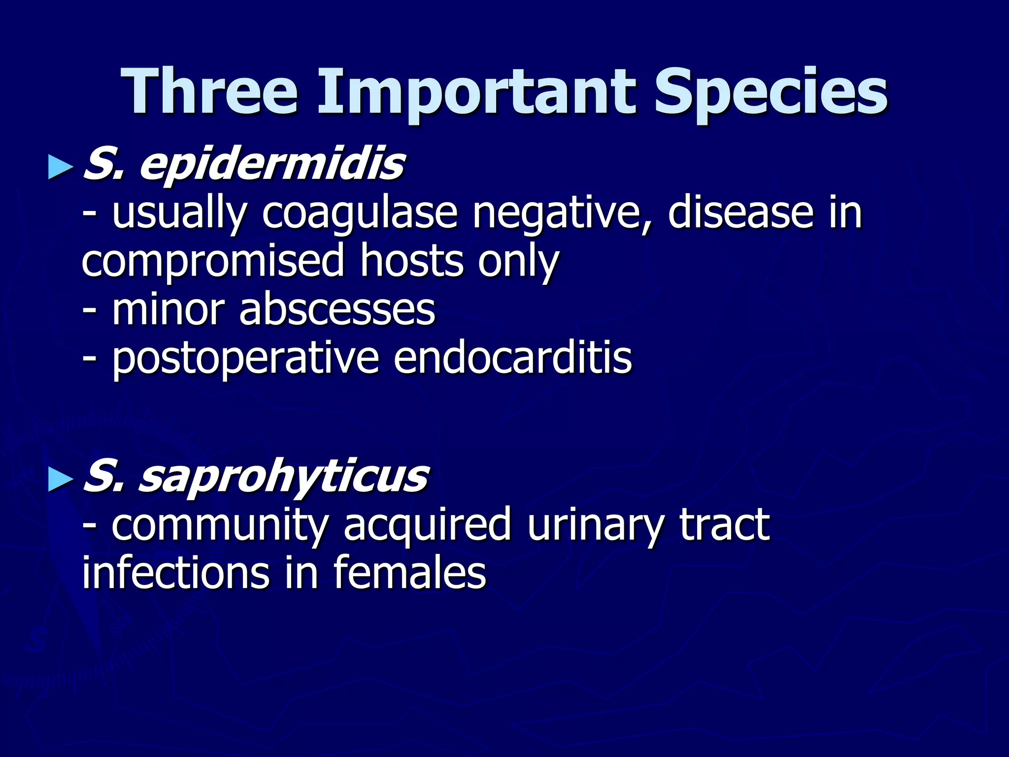 Three Important Species
►S. epidermidis
- usually coagulase negative, disease in
compromised hosts only
- minor abscesses
- postoperative endocarditis
►S. saprohyticus
- community acquired urinary tract
infections in females
 