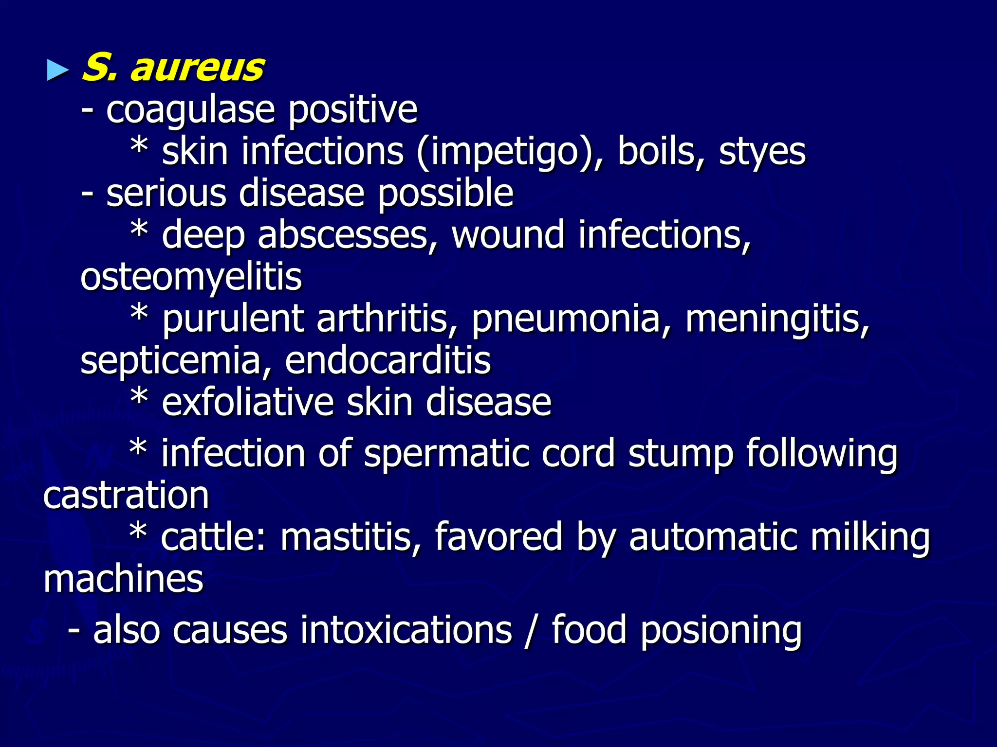 ► S. aureus
- coagulase positive
* skin infections (impetigo), boils, styes
- serious disease possible
* deep abscesses, wound infections,
osteomyelitis
* purulent arthritis, pneumonia, meningitis,
septicemia, endocarditis
* exfoliative skin disease
* infection of spermatic cord stump following
castration
* cattle: mastitis, favored by automatic milking
machines
- also causes intoxications / food posioning
 