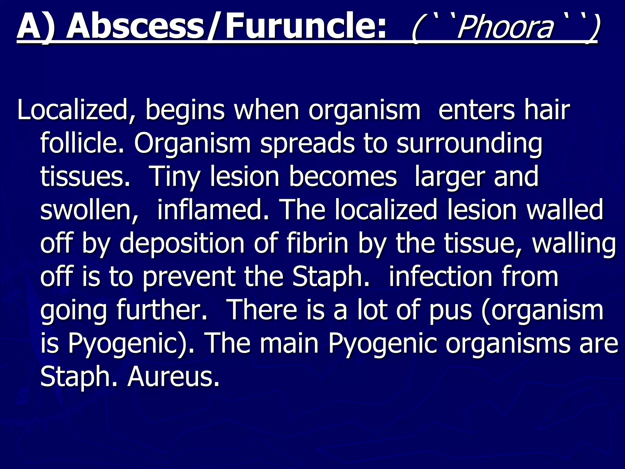 A) Abscess/Furuncle: (``Phoora``)
Localized, begins when organism enters hair
follicle. Organism spreads to surrounding
tissues. Tiny lesion becomes larger and
swollen, inflamed. The localized lesion walled
off by deposition of fibrin by the tissue, walling
off is to prevent the Staph. infection from
going further. There is a lot of pus (organism
is Pyogenic). The main Pyogenic organisms are
Staph. Aureus.
 